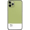 Nile Color Palette iPhone 11 Pro Skin